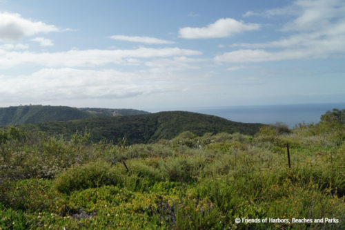 Aliso Canyon