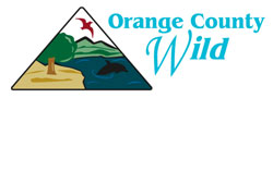 OC Wild Logo