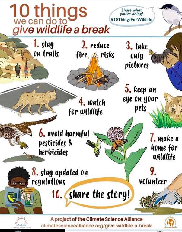 10 Things We Can Do To Give Wildlife a Break