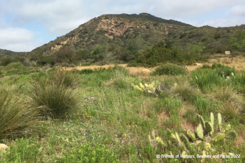 A landscape photograph with plenty of green vegetation and overcast blue skies.