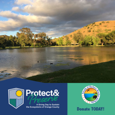 The Protect and Preserve logo along a banner of blue and on the right the banner is green with the FHBP Logo stating Donate Today! Above it is a photo of Carbon Canyon Regional Park with a lake, hills, trees, and cloudy blue skies.