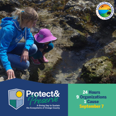 The Protect and Preserve logo along a banner of blue and on the right the banner is green with details of the day. Above it is a photo of two girls looking through water at tidepools with the FHBP logo in the upper right.