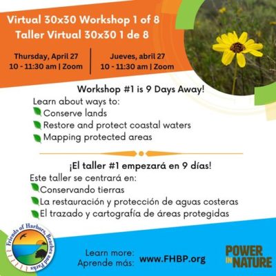 A colorful image describing a virtual workshop on Pathways to 30x30 featuring three strategies that will be discussed. For more information visit: FHBP.org 
Una imagen colorida que describe un taller virtual sobre Pathways to 30x30 que presenta tres estrategias que se discutirán. Para más información visite: FHBP.org