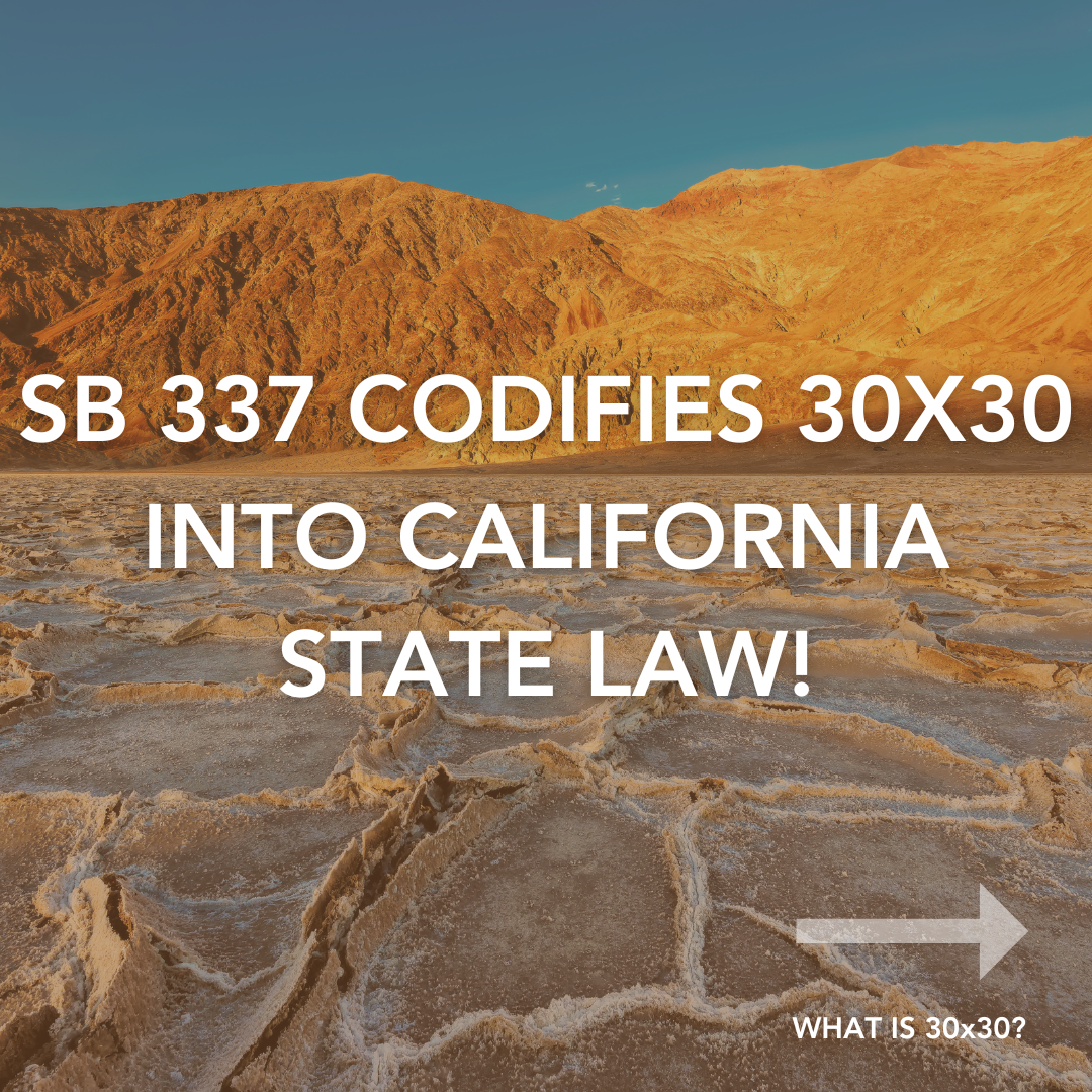 A view of the desert with white text that reads: SB 337 codifies 30x30 into California State Law!