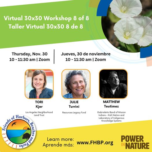 A colorful graphic describing a virtual workshop on November 30th with 3 speakers: Tori Kjer, Julie Turrini, and Matthew Teutimez.