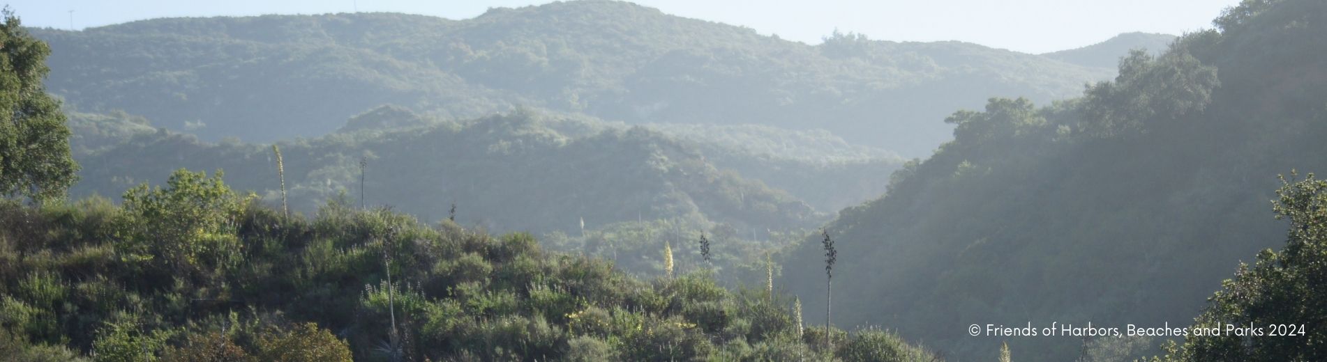 Chaparral canyon view with blue sky and yucca growing in the foreground