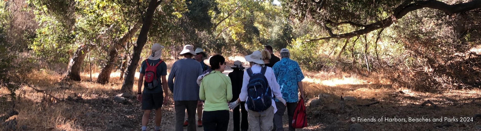 Group hiking in O'Neil Regional Park in the shade of Oak trees.