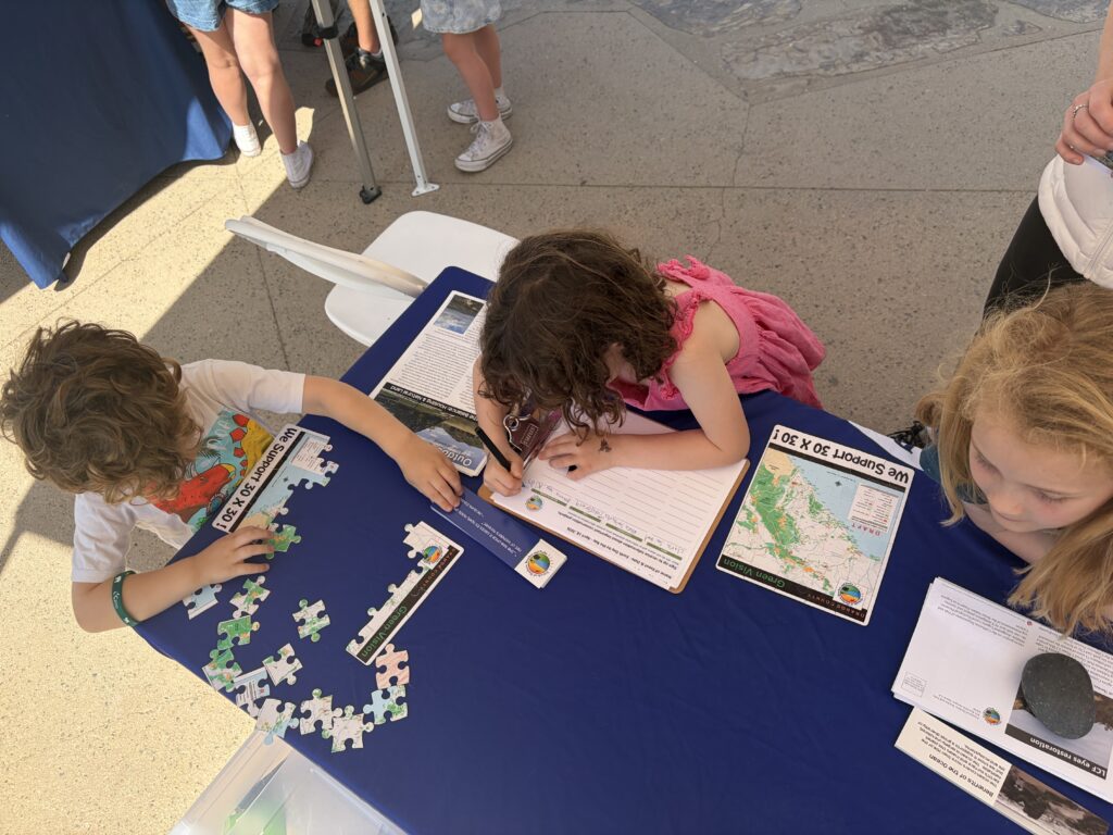 FHBP Green Vision Map puzzlers